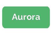 Ремонт парогенераторов Aurora