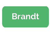 Ремонт духовых шкафов Brandt