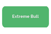 Ремонт моноколес Extreme Bull