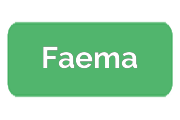 Ремонт кофемашин Faema
