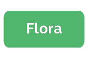 Ремонт плоттеров Flora