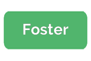 Ремонт кофемашин Foster