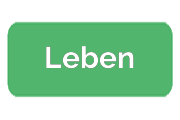 Ремонт парогенераторов Leben