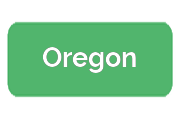 Ремонт экшен-камер Oregon