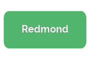 Ремонт парогенераторов Redmond