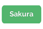 Ремонт парогенераторов Sakura
