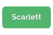 Ремонт парогенераторов Scarlett