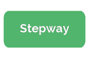 Ремонт сигвеев Stepway